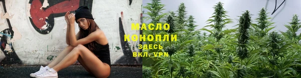 гашик Горняк