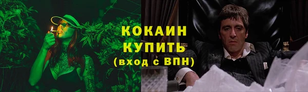 дурь Вяземский