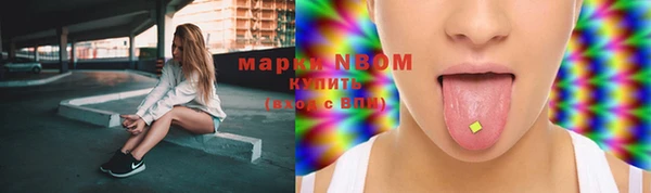шишки Вязьма