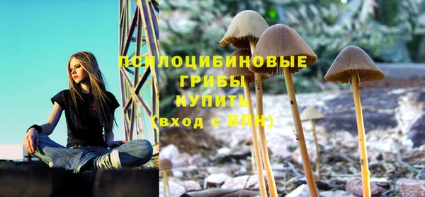 гашик Горно-Алтайск