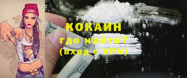дурь Вяземский