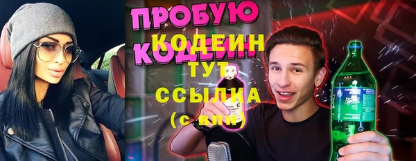дурь Вяземский