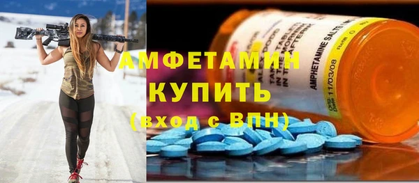 шишки Вязьма