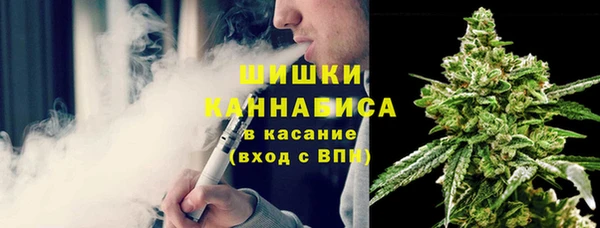 дурь Вяземский