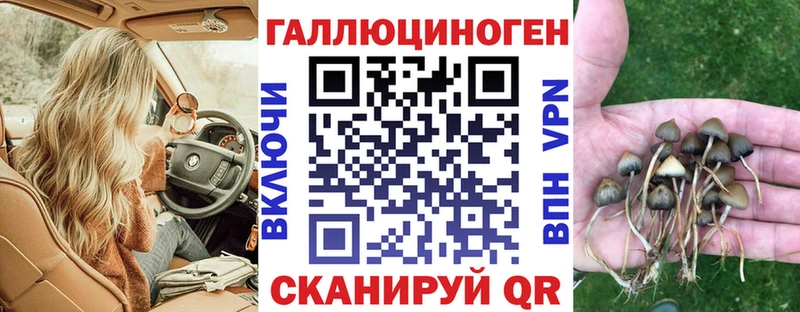 Купить Сатка Галлюциногенные грибы мицелий