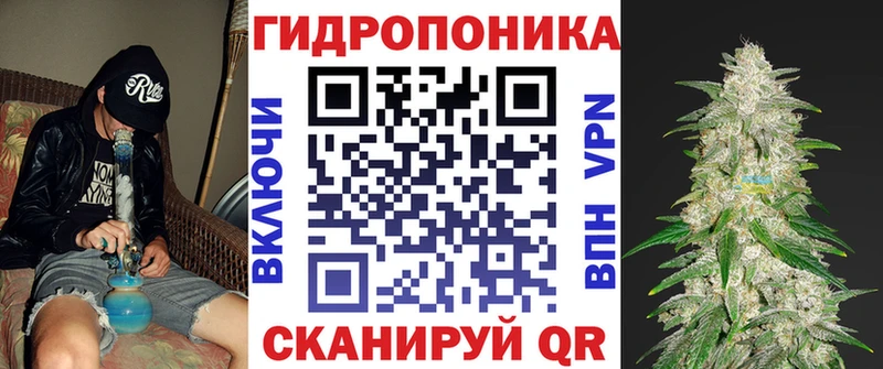 Купить  Сатка  Бошки Шишки OG Kush 